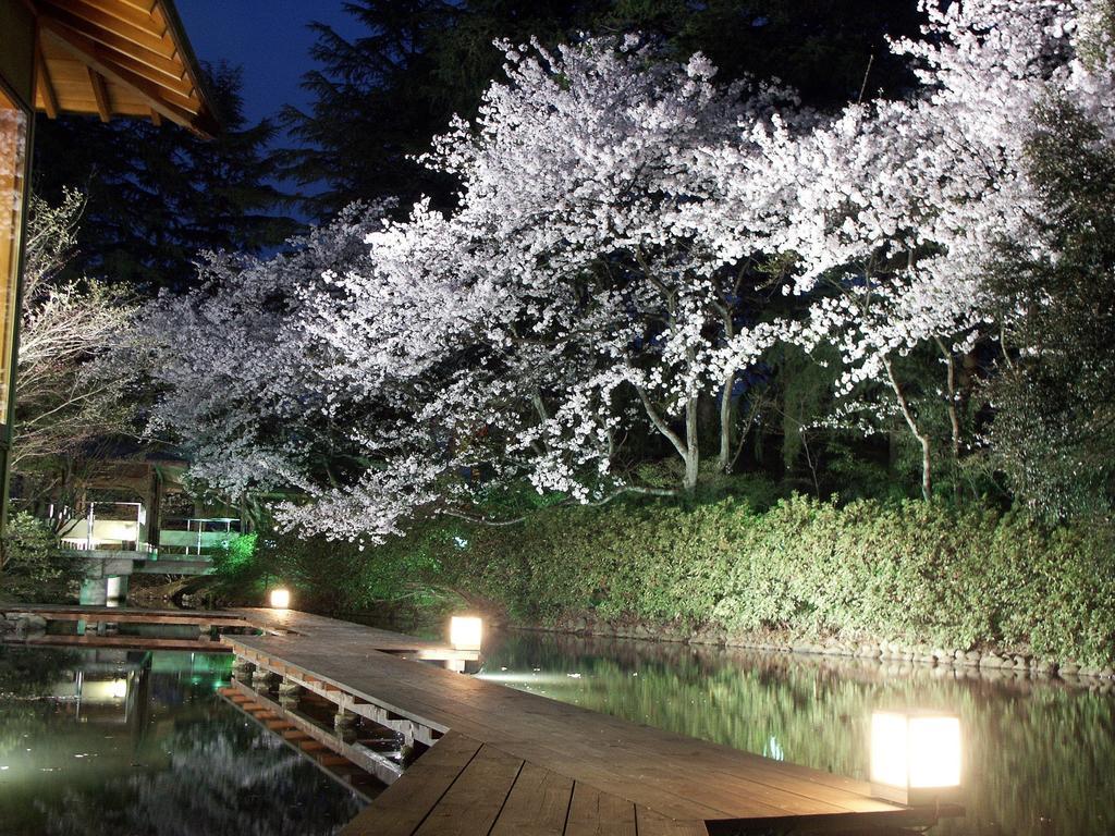 Matsusaki Nomi Bagian luar foto