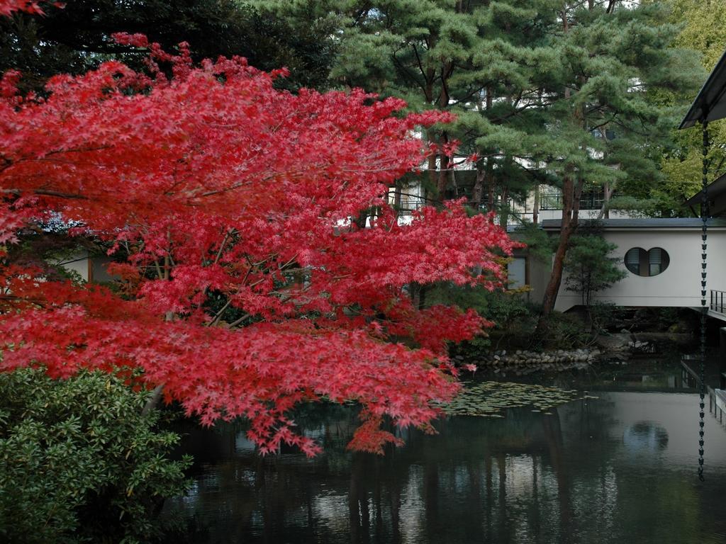 Matsusaki Nomi Bagian luar foto