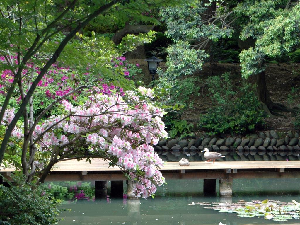 Matsusaki Nomi Bagian luar foto