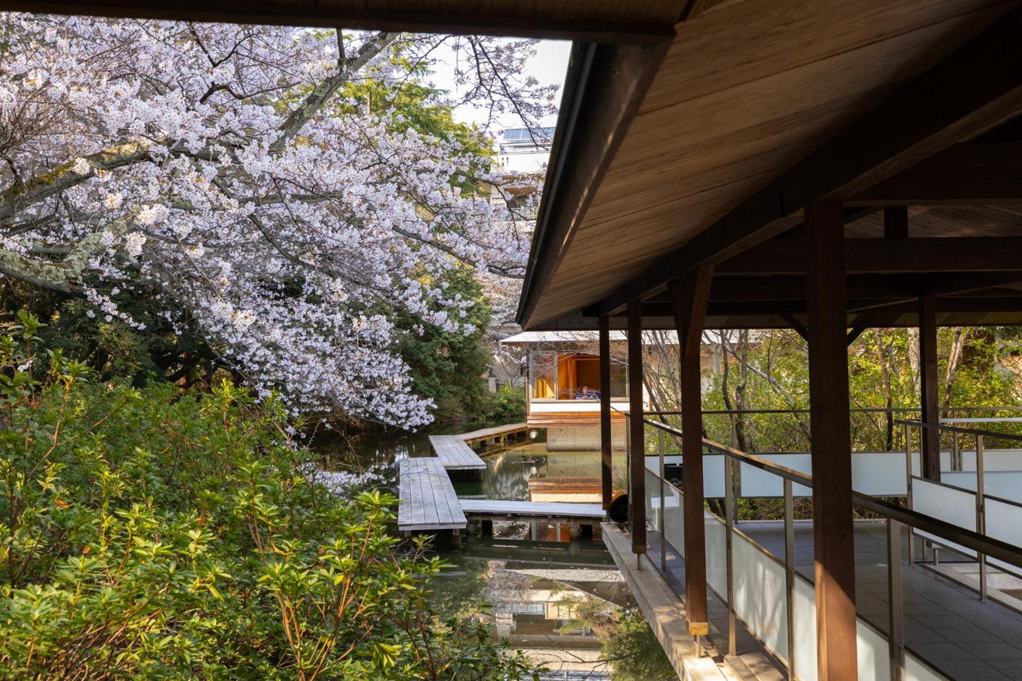 Matsusaki Nomi Bagian luar foto